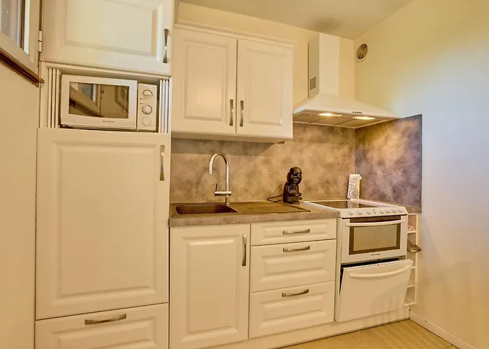 T2 Avec Balcon Et Parking A - Fr-1-841-12 アパート バルボタン・レ・テルム